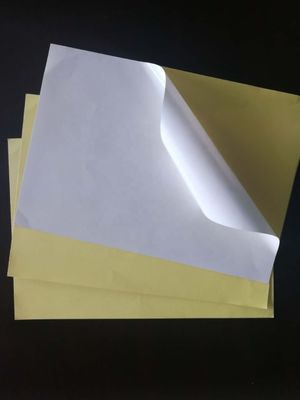 Papel adhesivo mate acrílico para impresión, impermeable y autoadhesivo