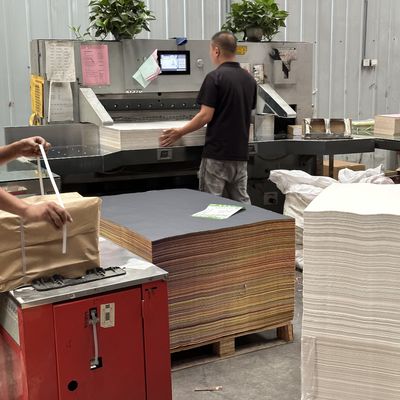 Papel de impresión offset sin madera de color con material de recubrimiento PE Pedido personalizado Aceptado