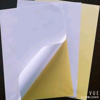 Etiqueta de pegatina térmica autoadhesiva para uso personalizado pegatinas papel Jumbo Roll