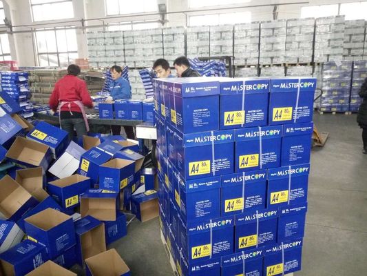 El papel A4 más vendido 75 80 GSM Jumbo Roll con 45% de brillo de superficie y 88% de brillo de impresión