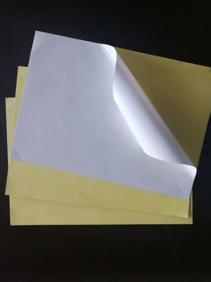 Directamente del molino de papel adesivo personalizado con adhesivo de caucho y gran tamaño de hoja
