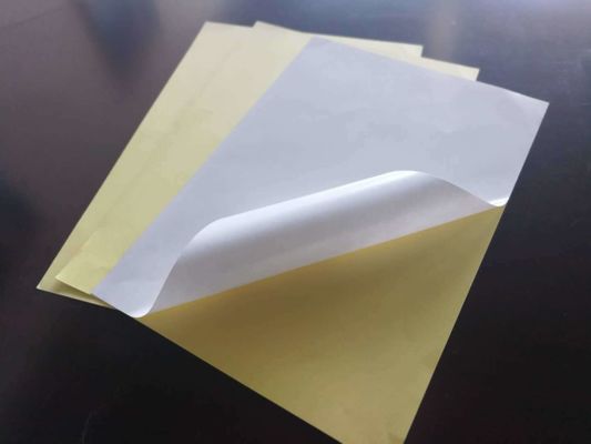 Directamente del molino de papel adesivo personalizado con adhesivo de caucho y gran tamaño de hoja