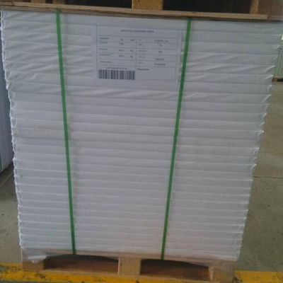 Papel de rastreo Compatible sin recubrimiento Papel de offset sin madera blanco crudo