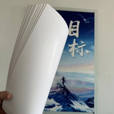 Papel de marfil antiarrugas 210/230/250/270/300gsm FBB/GC1/C1S con celulosa química y estándar