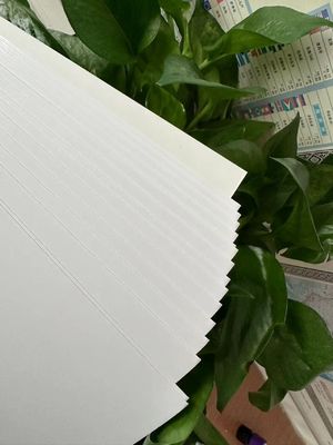 Impresión personalizada de papel de venta en caliente 210/230/250/270/300gsm FBB/GC1/C1S de estándar