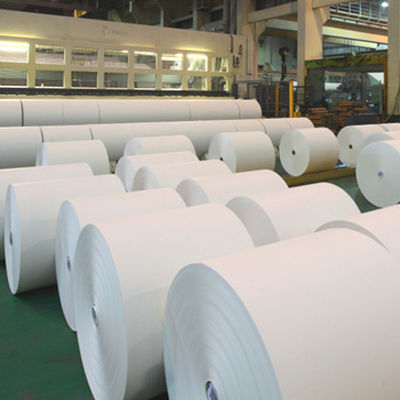 Papel blanco de escritura Jumbo Roll para papel de copia A4 en Competitive