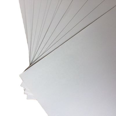 S Top Choice C2S Matte Art Card Paper Roll Revestido en ambos lados para un acabado superior