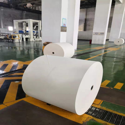 Versátil papel de copia de 70g Jumbo Roll para todos los requisitos de impresión