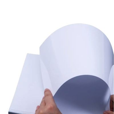 Papel de cartón de arte mate en rollos con recubrimiento de PE C2S para aplicaciones de impresión y embalaje