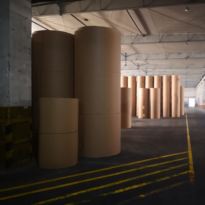 Pedido personalizado 70/75/80gm Copia de papel Jumbo Roll 850mm Tamaño del carrete con 103±1 Brillo