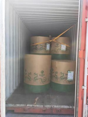 Pulpa química-mecánica 70 g 75 g 80 g papel de copia Jumbo Roll para el suministro de impresión offset