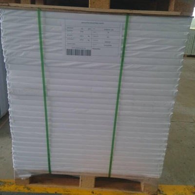 Tabla de arte de caolinita recubierta de dos lados 300 g C1S para embalaje de rejas en el mercado de Ningbo