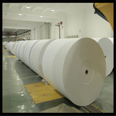 Papel de copia antiarrugas Jumbo Roll para el corte de A4 hecho de pasta de madera