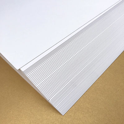 Impresión offset Compatible Ningbo Papel plegado C1S Revestido 190-400gm FBB Papel de marfil