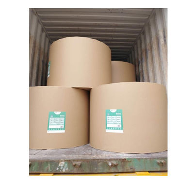 Impresión offset Compatible Ningbo Papel plegado C1S Revestido 190-400gm FBB Papel de marfil