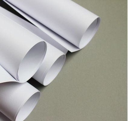 Papel de copia de 80 gramos Jumbo Roll para impresión de pedido personalizado hecho de celulosa virgen