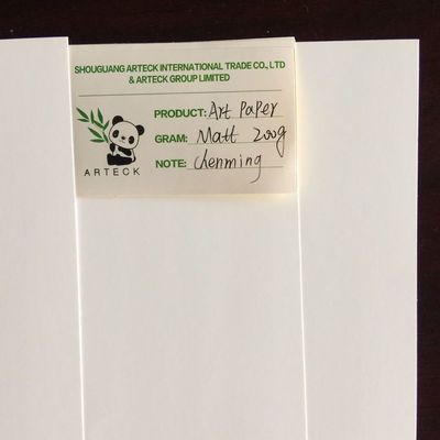 Se acepta pedido personalizado para la pasta de madera Blanco Sofá Jumbo Roll Materias primas de papel C2s