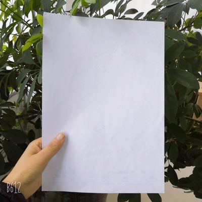 Papel de fianza de 60/70/80gm para la impresión de libros de ejercicios hecho de celulosa química-mecánica