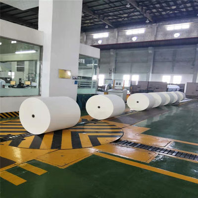 Papel de impresión offset de celulosa de madera recubierta de caolinita en rollos o hojas envasado para impresión