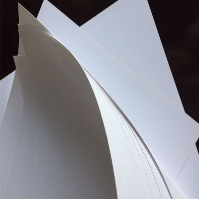 Impresión offset Compatible con doble lado Revestido de papel blanco C2S para folletos
