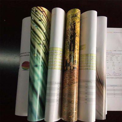 Impresión offset Compatible con doble lado Revestido de papel blanco C2S para folletos