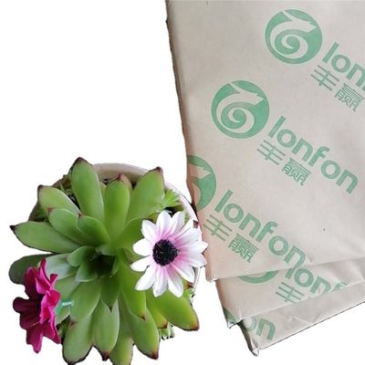 55G-120G Papel de fianza para impresión en blanco dentro de Anti-Curl de LONFON/chenming /APP