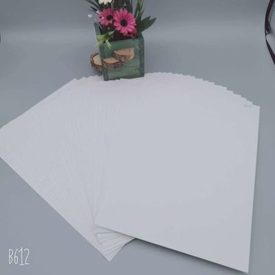 Zenith High Bulk C1S Coated Ningbo Fold FBB Ivory Board Ideal para el papel de envoltura de regalo