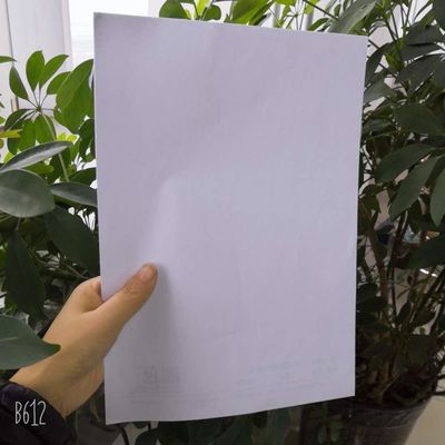 Tamaño personalizado 70GSM 80GSM Papel de unión blanco en bruto de Yunbao para necesidades de papel de envoltura de alimentos
