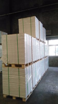 110*68*12 mm Pedido personalizado de álamo C1S de cartón de marfil recubierto/ FBB/ Roll de papel Bristol
