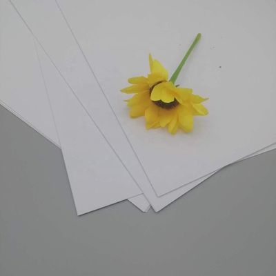 Requisitos de la aduana y papel de arte NEVIA antiarrugas para impresión
