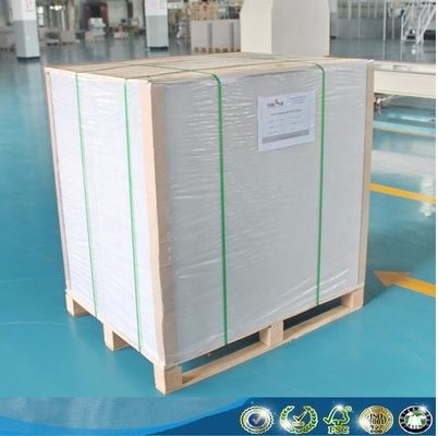 Ningbo Fold C1S tablero de marfil a prueba de humedad para impresión y envasado personalizado