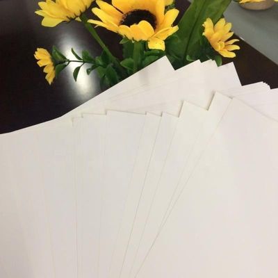 Papelería química-mecánica 230/250/300GSM C1S cartón de caja de marfil en hoja con 100% de pulpa de madera