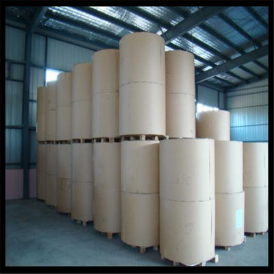 Solución de embalaje personalizable Ningbo Fold FBB con material de pasta de madera blanca