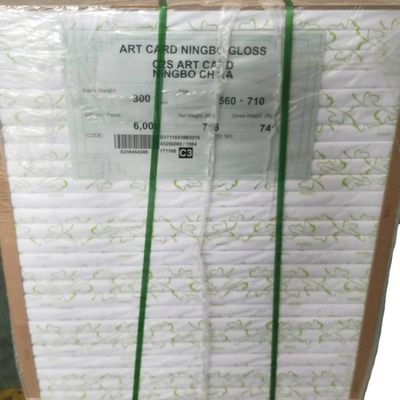 Pulpa de madera FBB tablero de marfil de Ningbo Fold acepta pedido personalizado y es personalizable