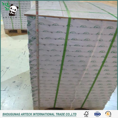 Papel de envase de regalo 250g300g recubierto de un lado C1s/Fbb para hacer postal